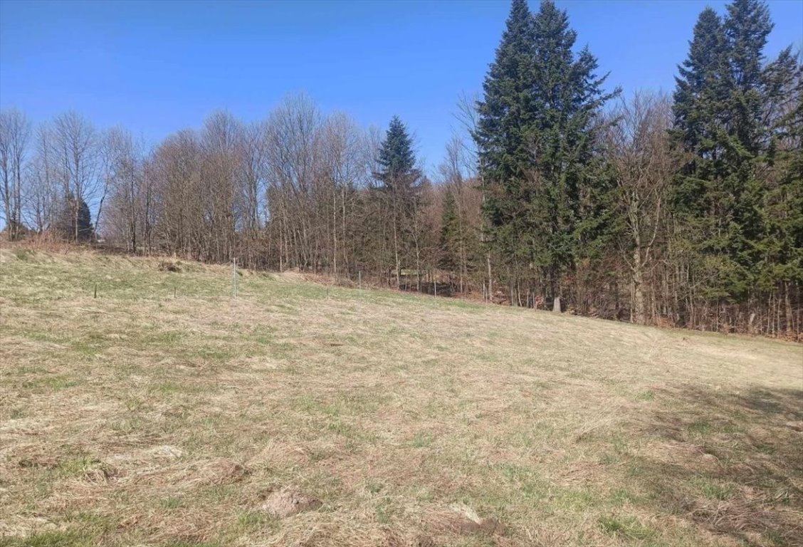 Działka budowlana na sprzedaż Laliki  3 347m2 Foto 5