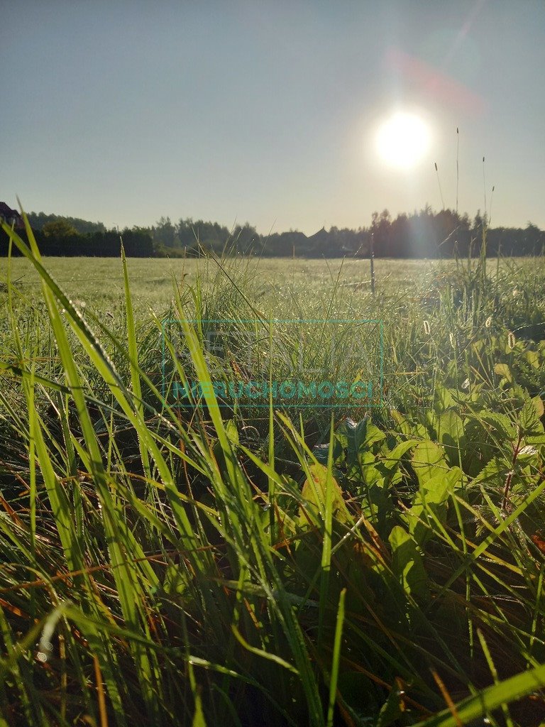 Działka budowlana na sprzedaż Błonie  19 324m2 Foto 1