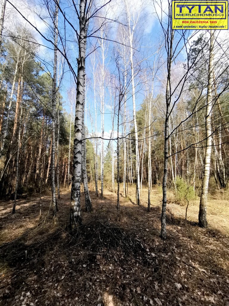 Działka leśna na sprzedaż Olszewo  3 500m2 Foto 5