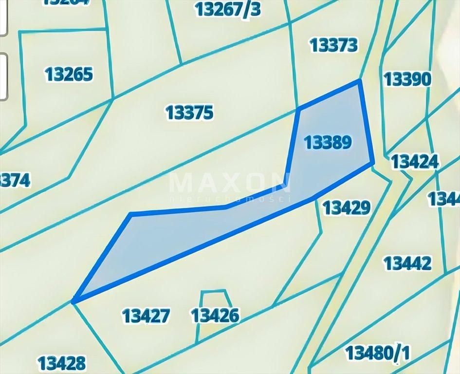 Działka leśna na sprzedaż Nowe Bystre  4 011m2 Foto 3