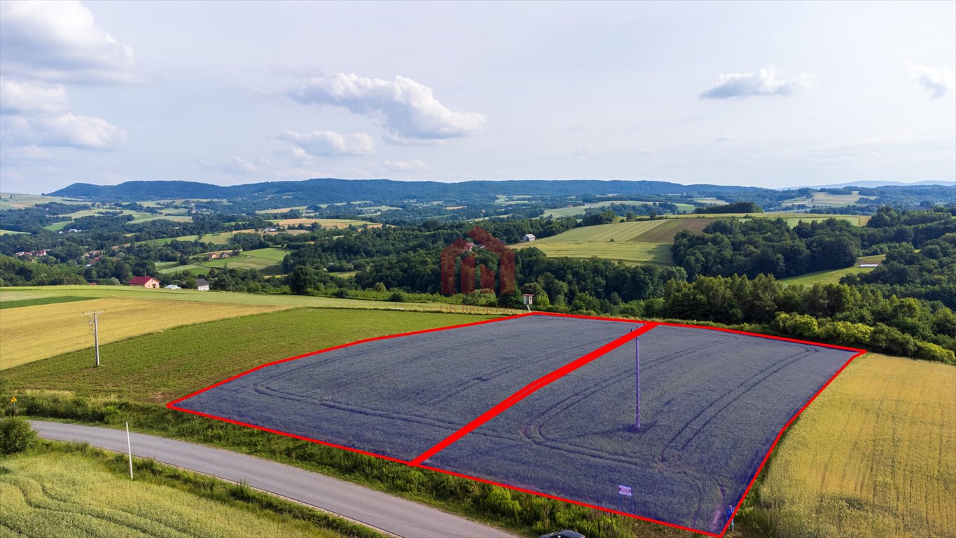 Działka budowlana na sprzedaż Wielopole Skrzyńskie  3 650m2 Foto 3