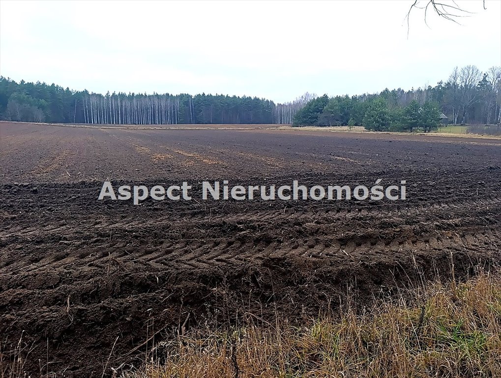 Działka 3694 m² z warunkami zabudowy w Gorędy! Gorędy  3 694m2 Foto 1