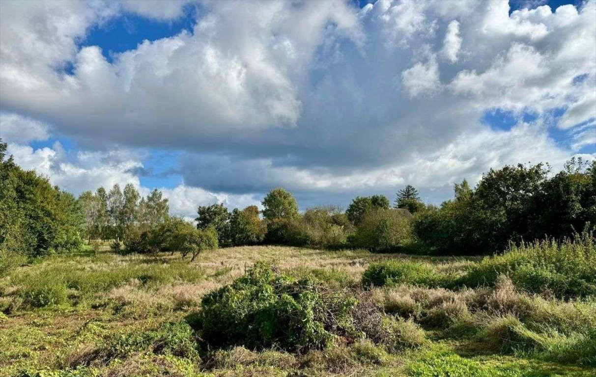 Działka budowlana na sprzedaż Gorzyno  5 800m2 Foto 2