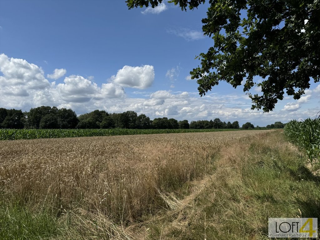 Działka budowlana na sprzedaż Borzęcin  4 400m2 Foto 10