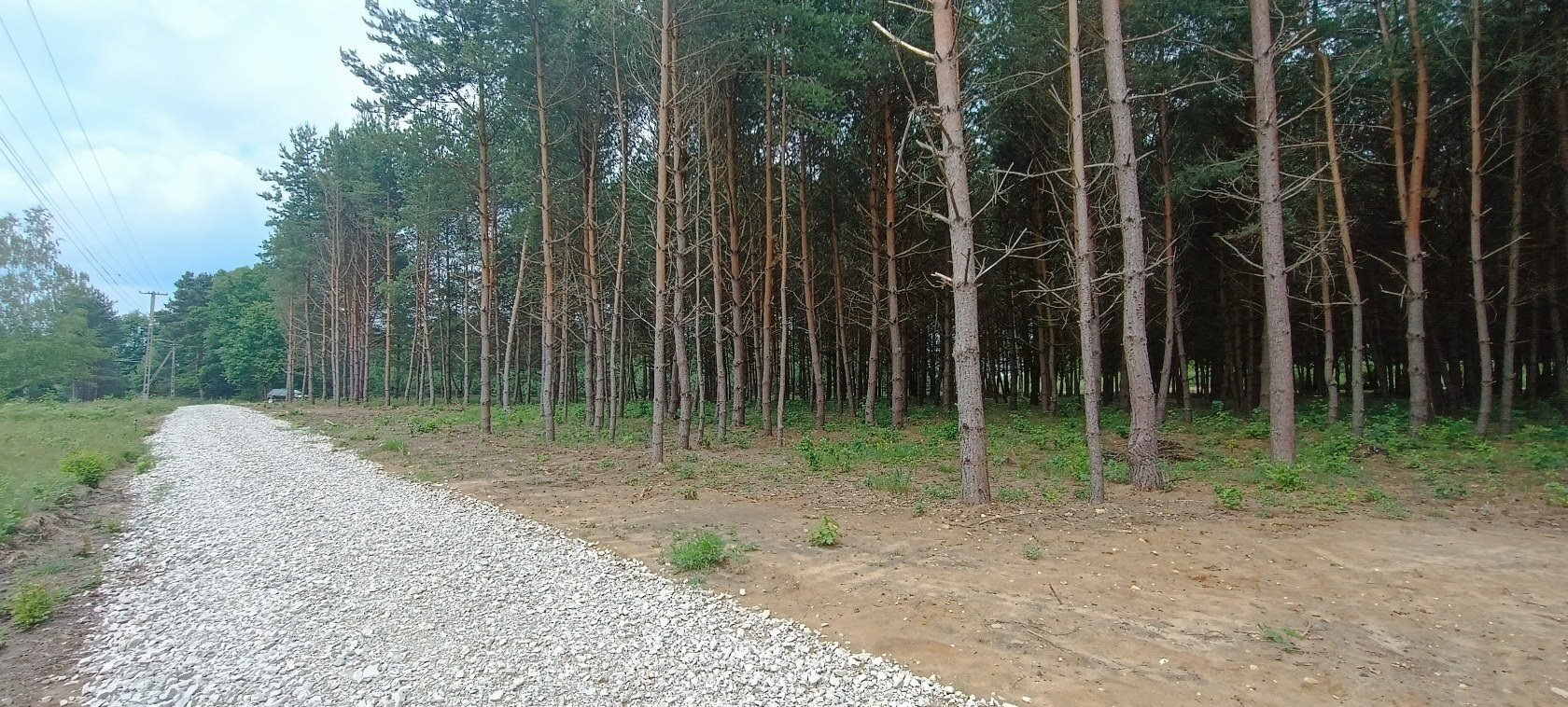 Działka budowlana na sprzedaż Daleszyce, Niwy  1 032m2 Foto 11