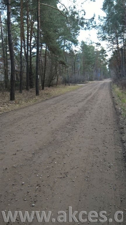 Zdjęcie 3