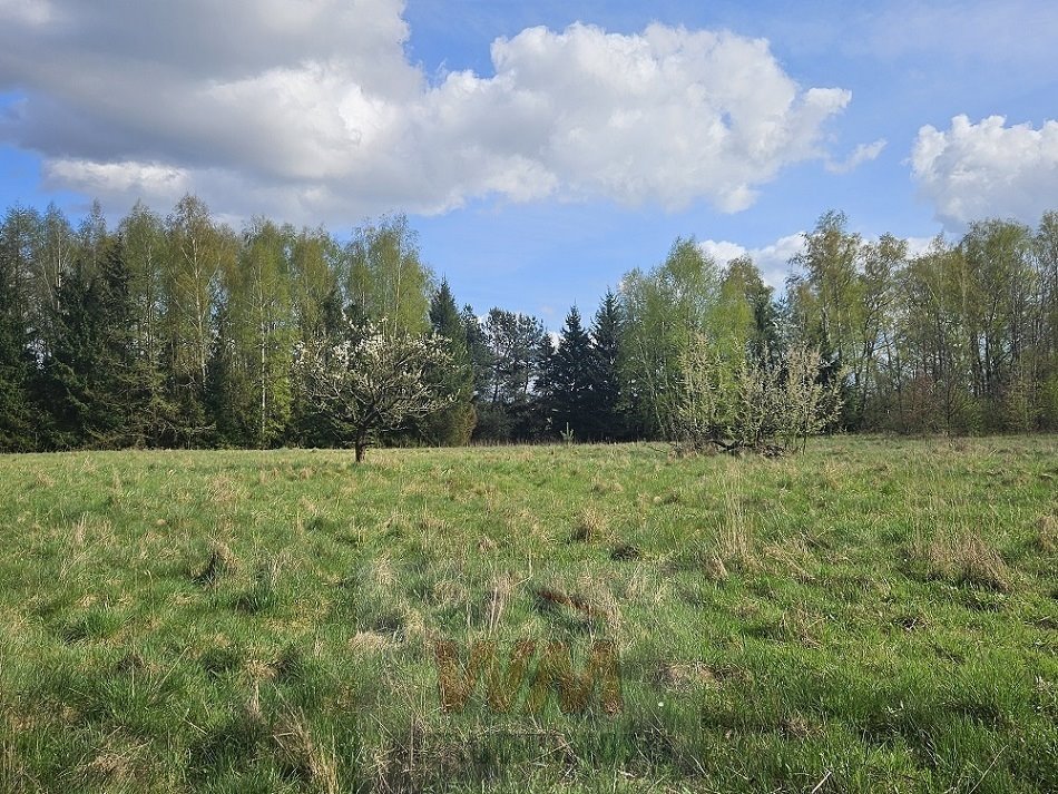 Działka budowlana na sprzedaż Pniewy  29 501m2 Foto 9