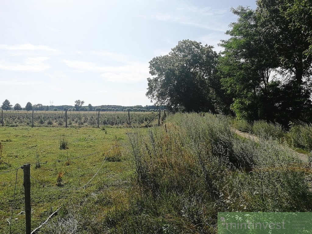 Działka budowlana na sprzedaż Krępsko  1 920m2 Foto 10