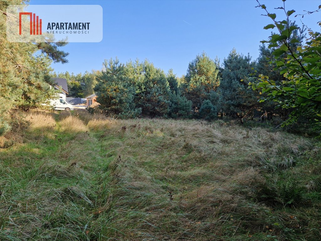 Działki budowlana i leśna 3 966 m², spokój i dostępność Duszniki, Nowotomyska  3 966m2 Foto 1