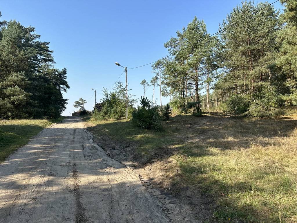 Działka leśna na sprzedaż Daszewice, Piotrowska  42 972m2 Foto 5