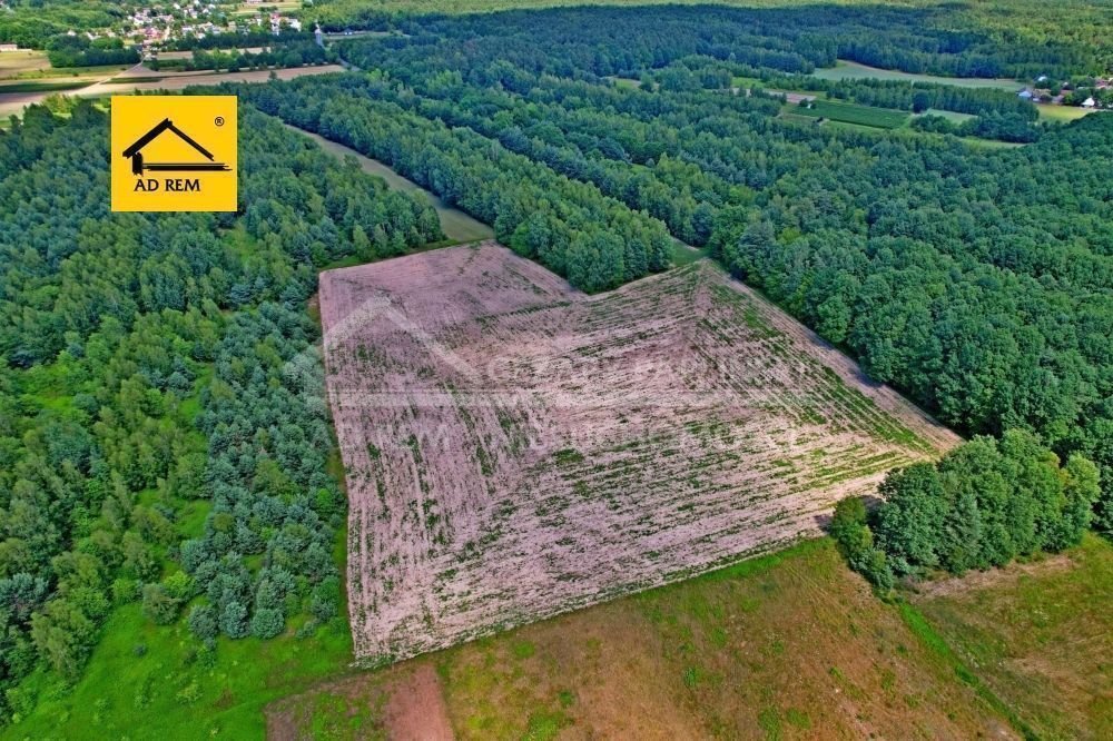 Duża działka rolna 40 000 m² przy drodze wojewódzkiej Uściąż, Uściąż  40 000m2 Foto 1