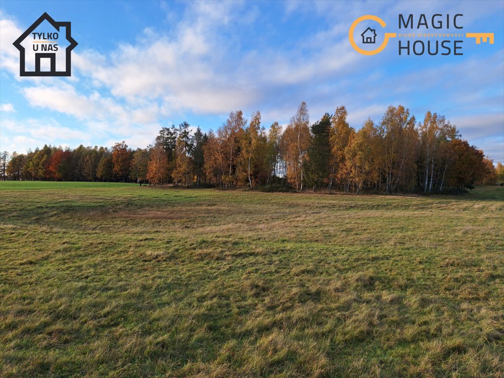 Działka rolna na sprzedaż Pobłocie, Dąbrówka  12 900m2 Foto 1