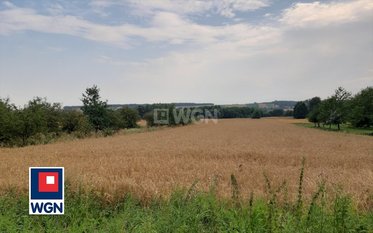 Działka rolna na sprzedaż Putnowice-Kolonia, Kolonia Putnowice  16 600m2 Foto 2