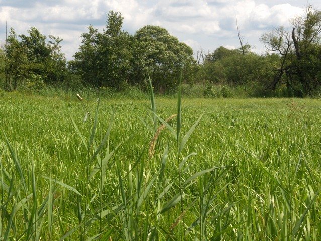 Działka rolna na sprzedaż Komarowo  16 638m2 Foto 1