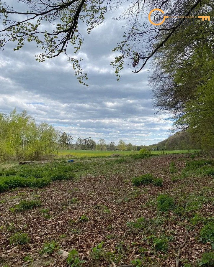 Działka budowlana na sprzedaż Buszkowy, Rajska Dolina  3 500m2 Foto 4