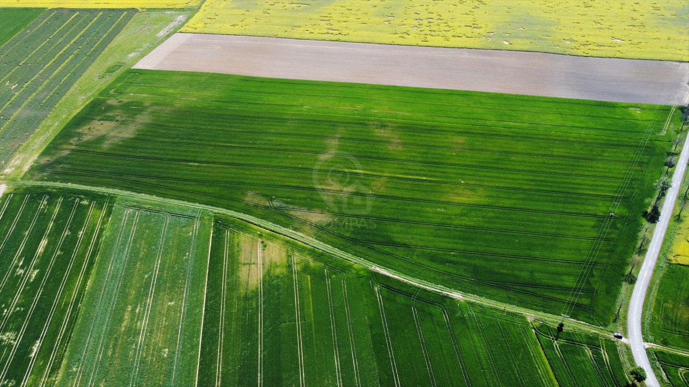 Działka rolna na sprzedaż Kostomłoty  42 281m2 Foto 1