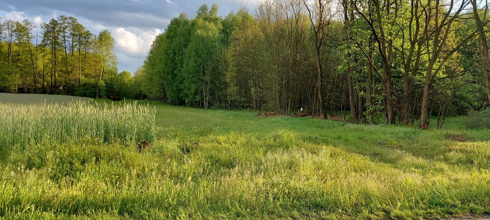 Działka inna na sprzedaż Dobra  2 375m2 Foto 2