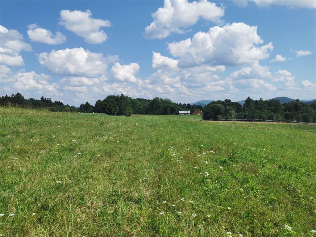 Działka rolna na sprzedaż Uherce Mineralne  4 900m2 Foto 6