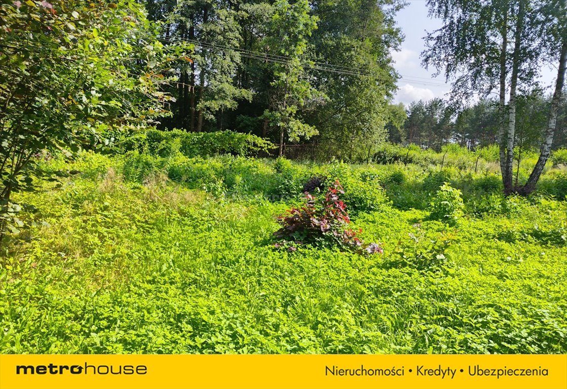 Działka inna na sprzedaż Kranów  3 800m2 Foto 7