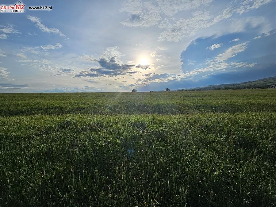 Działka budowlana na sprzedaż Waksmund, Waksmund, Jana Pawła II  1 277m2 Foto 7