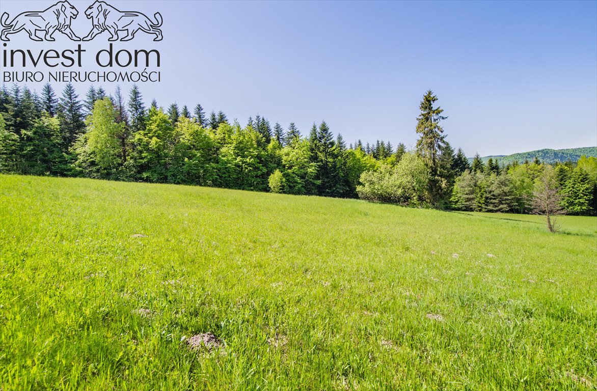 Działka budowlana na sprzedaż Uście Gorlickie  3 300m2 Foto 6