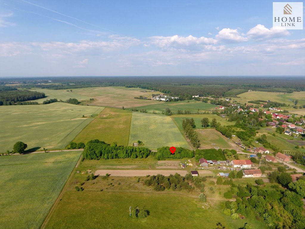 Działka budowlana na sprzedaż Liwa, Zielona  5 000m2 Foto 4