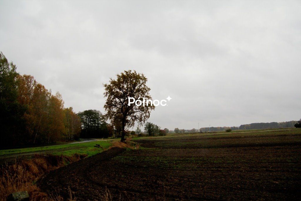 Urokliwa działka 5000 m² z mediami i dojazdem asfaltowym Charbice Dolne  5 000m2 Foto 1