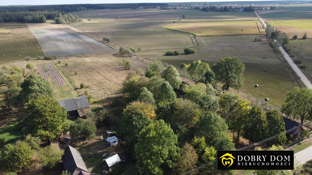 Działka rolna na sprzedaż Przybudki  4 622m2 Foto 6