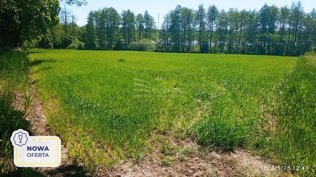 Działka inwestycyjna na sprzedaż Jastków  13 000m2 Foto 1