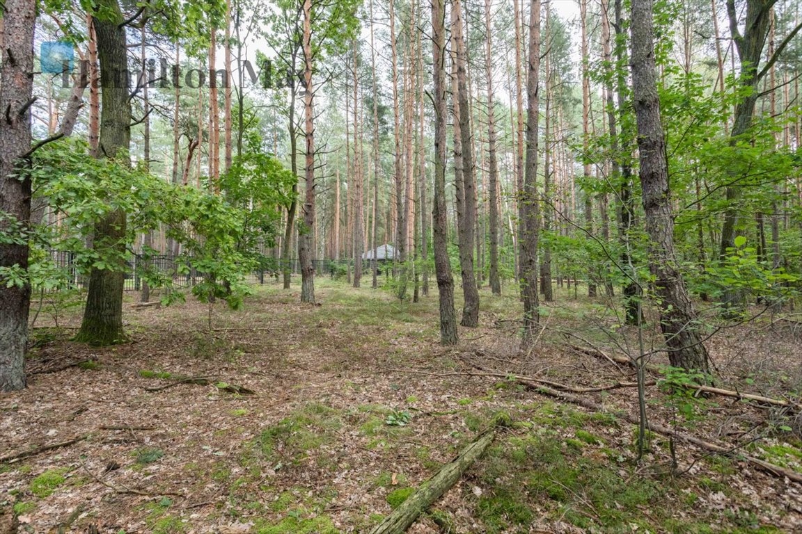 Działka inna na sprzedaż Sękocin-Las, Sękocin-Las, Sękocin Las  2 100m2 Foto 8