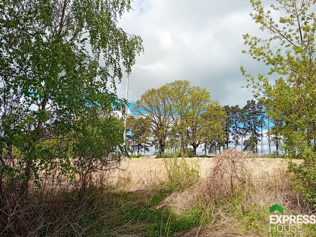 Działka komercyjna na sprzedaż Stasin  6 900m2 Foto 2