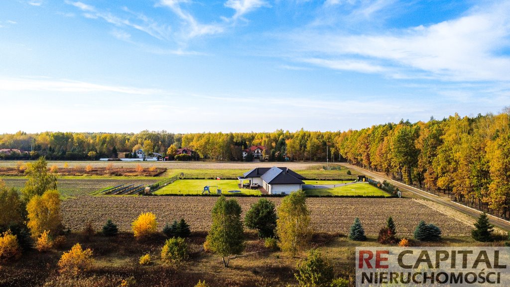 Działka 3750 m² w Borzęcinie Dużym, cicha okolica - polecam! Borzęcin Duży, Trakt Królewski  3 750m2 Foto 1