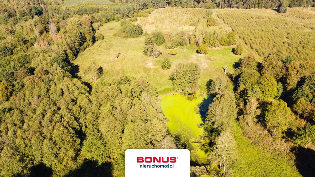 Działka siedliskowa na sprzedaż Międzylesie  19 300m2 Foto 3