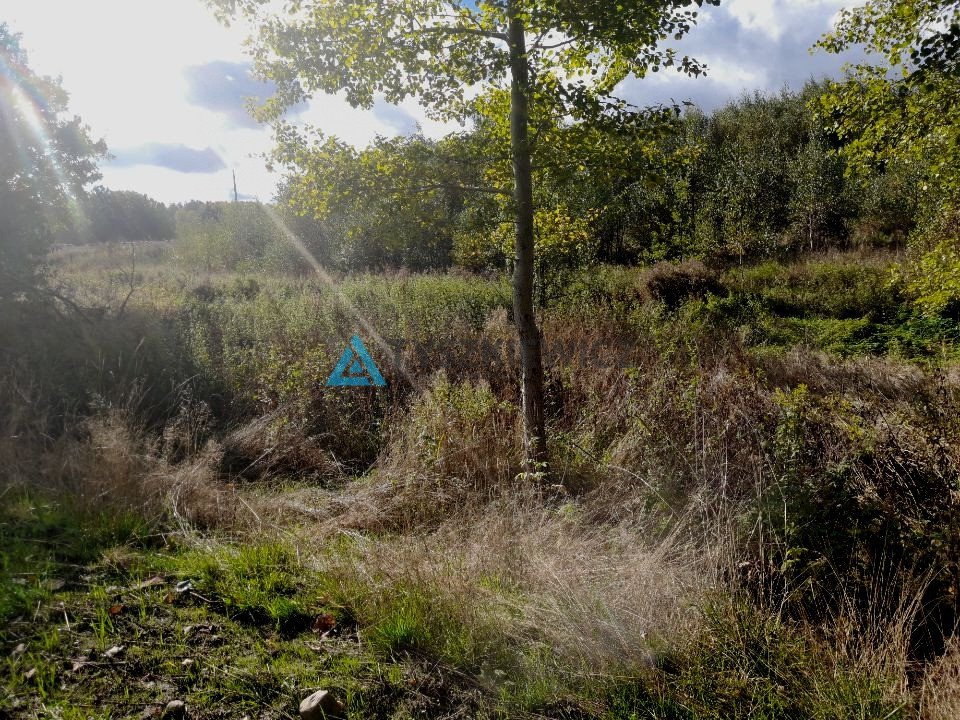 Działka budowlana na sprzedaż Załęże, Zielona Droga  910m2 Foto 2