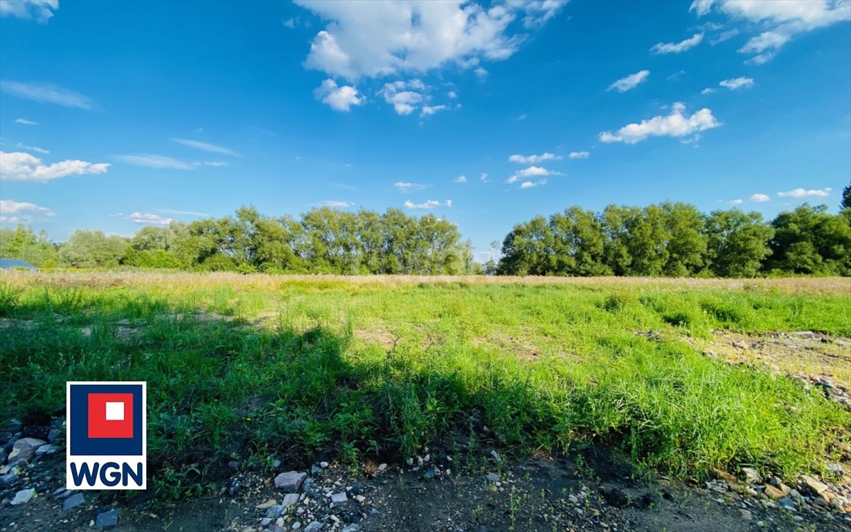 Działka budowlana na sprzedaż Jaworzno, JELEŃ, WIOSNY LUDÓW  667m2 Foto 5