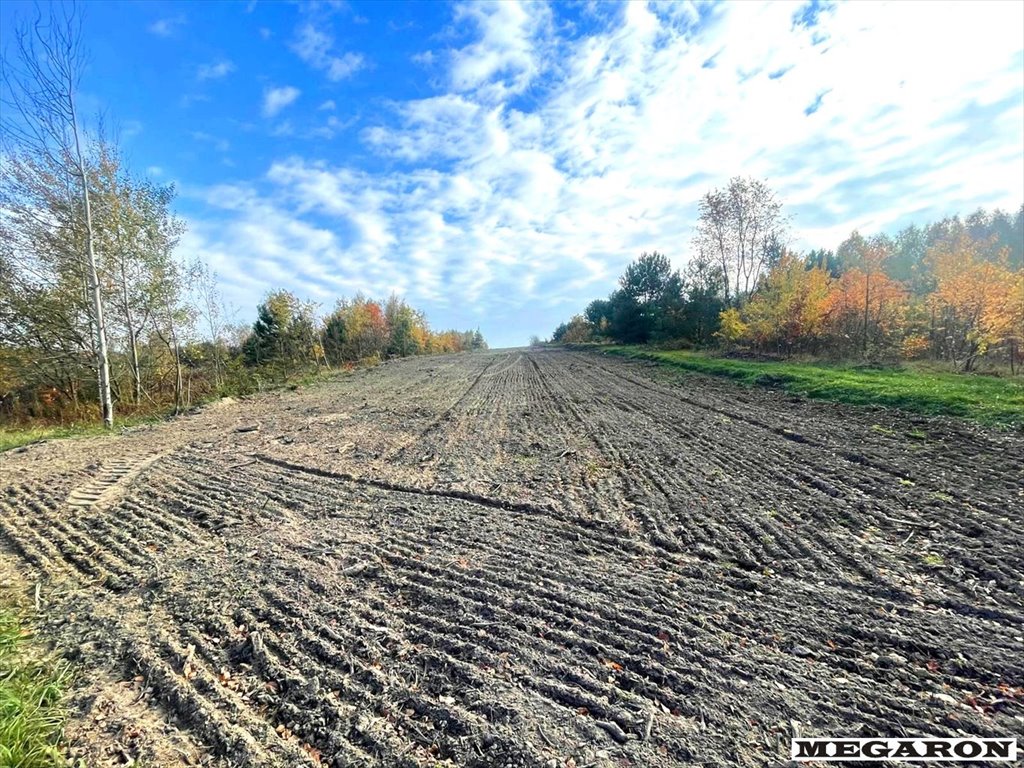 Działka budowlana na sprzedaż Częstochowa, Kiedrzyn  10 853m2 Foto 2