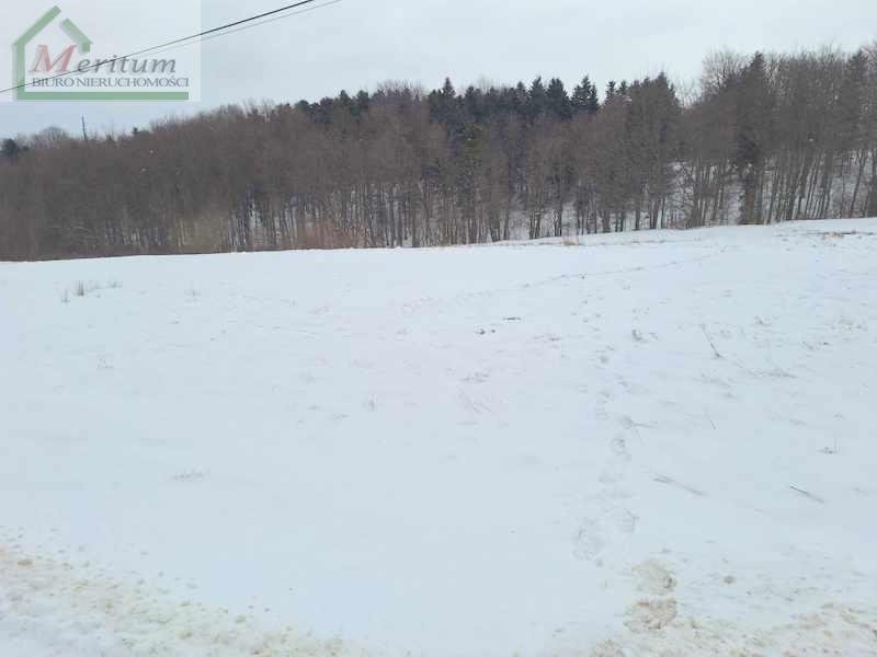 Działka budowlana na sprzedaż Łęki Dukielskie  5 100m2 Foto 3