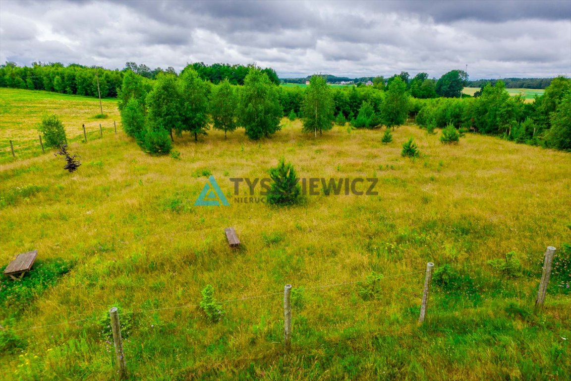 Działka rolna na sprzedaż Stary Barkoczyn  3 013m2 Foto 8