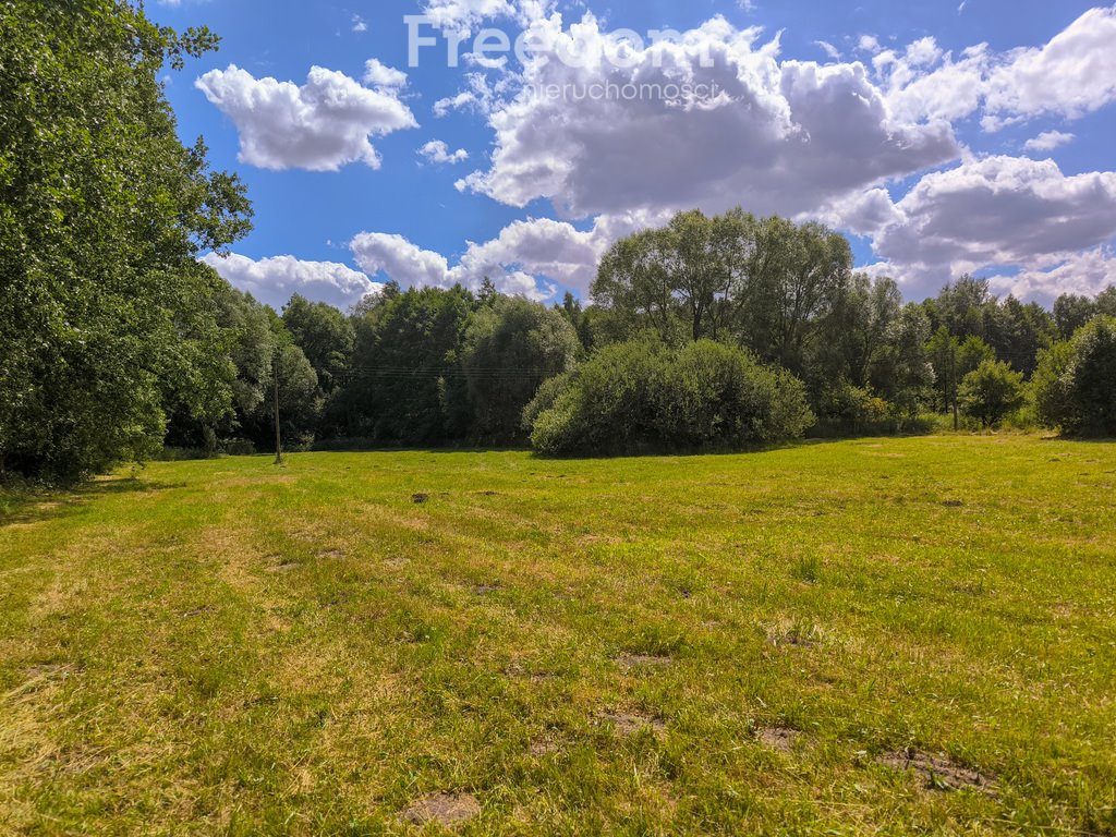 Działka siedliskowa na sprzedaż Bieganów, Poziomkowa  7 000m2 Foto 1