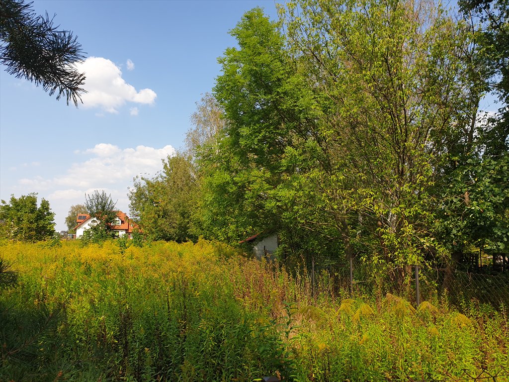 Działka budowlana na sprzedaż Warszawa, Ursynów, Dąbrówka  1 100m2 Foto 1