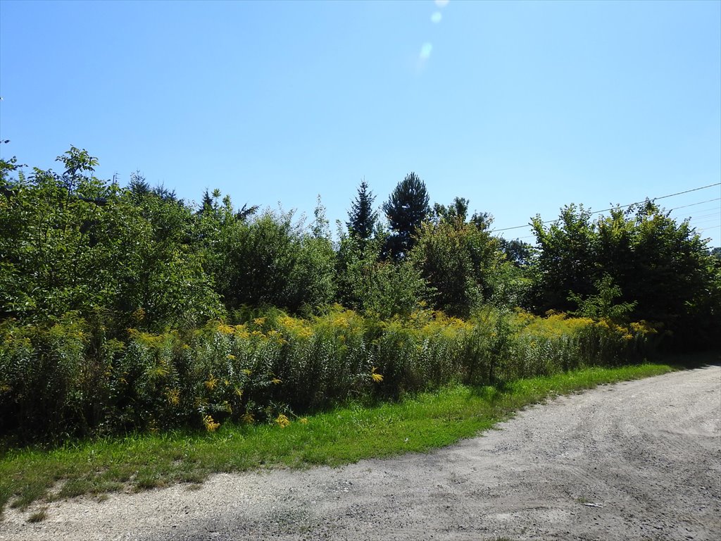 Działka budowlana na sprzedaż Bobrowniki, Sienkiewicza  799m2 Foto 2