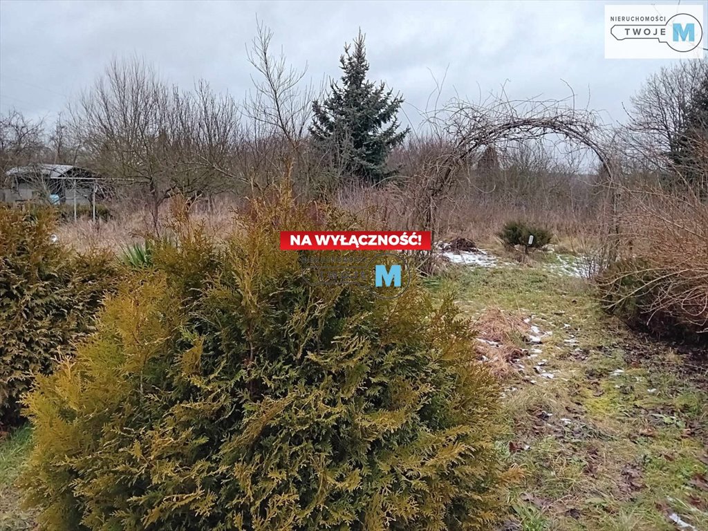 Działka inna na sprzedaż Pierzchnica, Pierzchnianka  6 500m2 Foto 10