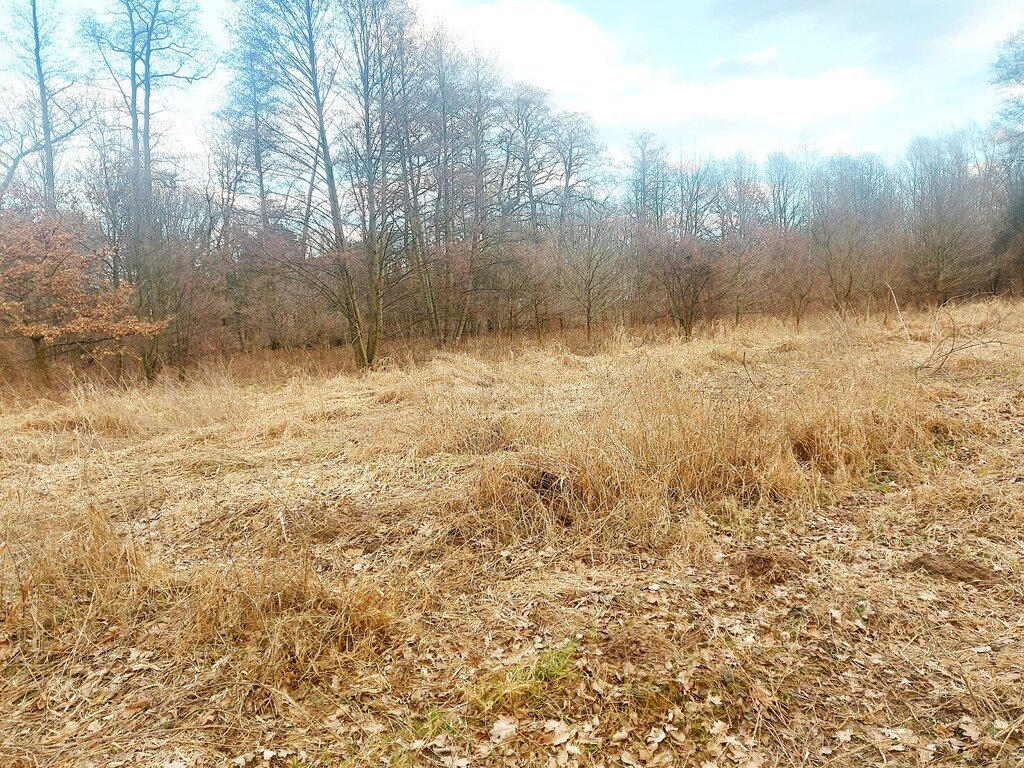 Działka budowlana na sprzedaż Milanówek  9 150m2 Foto 2