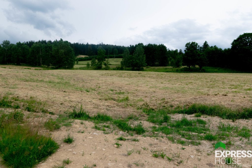 Działka budowlana na sprzedaż Stronie Śląskie, Polna  2 617m2 Foto 14