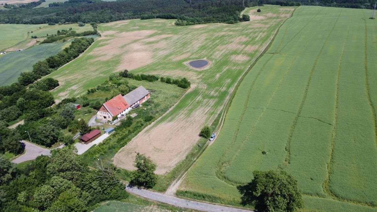 Działka budowlana na sprzedaż Grabowiec  800m2 Foto 1