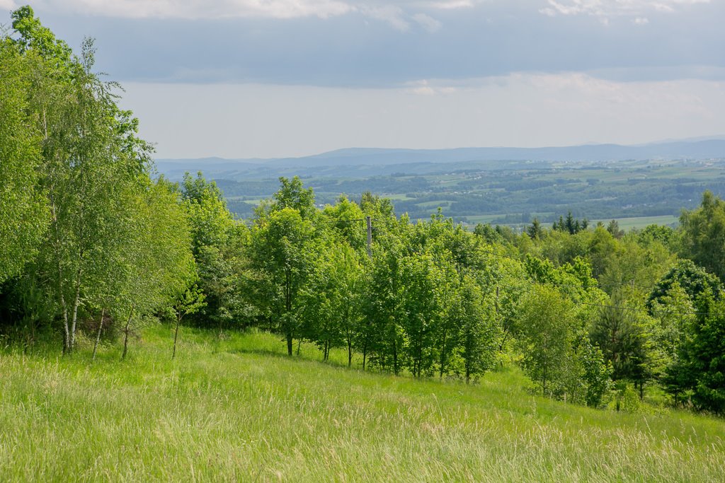 Działka budowlana na sprzedaż Jodłówka Tuchowska  3 200m2 Foto 1