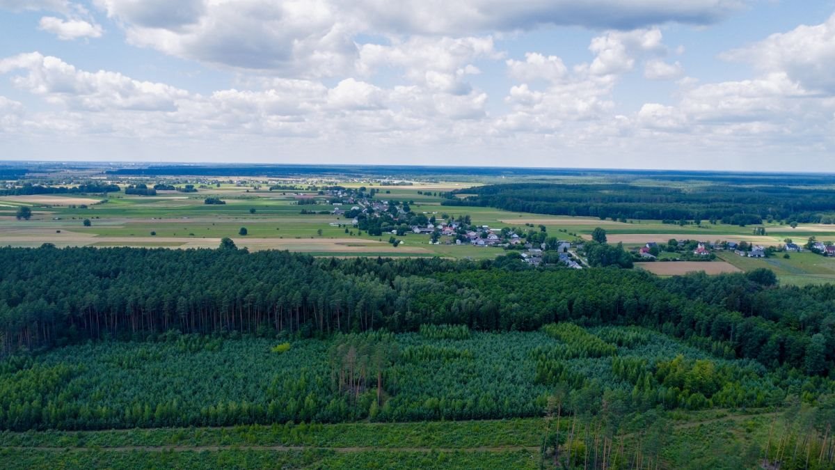 Działka budowlana na sprzedaż Nowy Brańszczyk  2 800m2 Foto 5