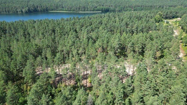 Działki nad jeziorem z projektami domów i mediami Skorzewo, Franciszka Peplińskiego  505m2 Foto 1