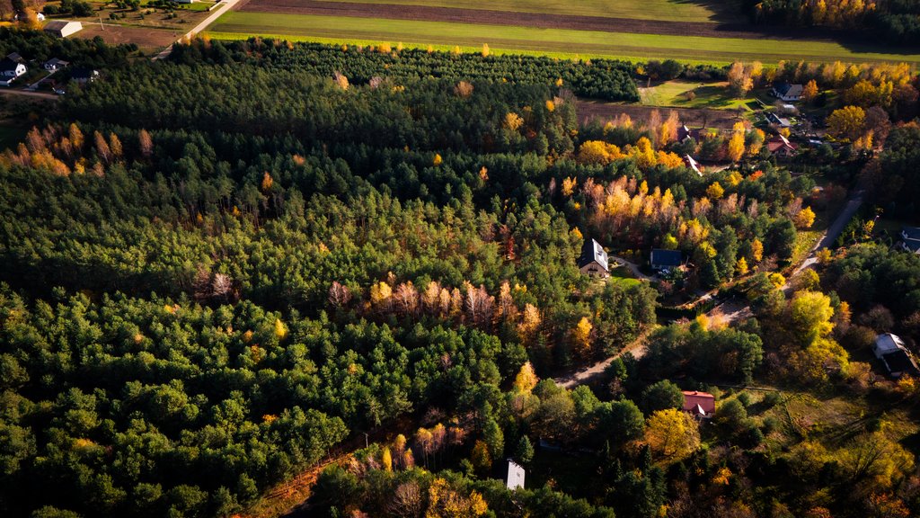 Działka budowlana na sprzedaż Wodzierady  2 618m2 Foto 2