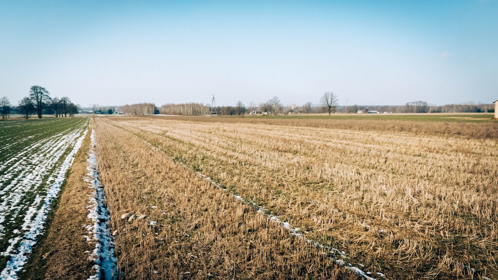 Działka budowlana na sprzedaż Bałdrzychów  1 380m2 Foto 1